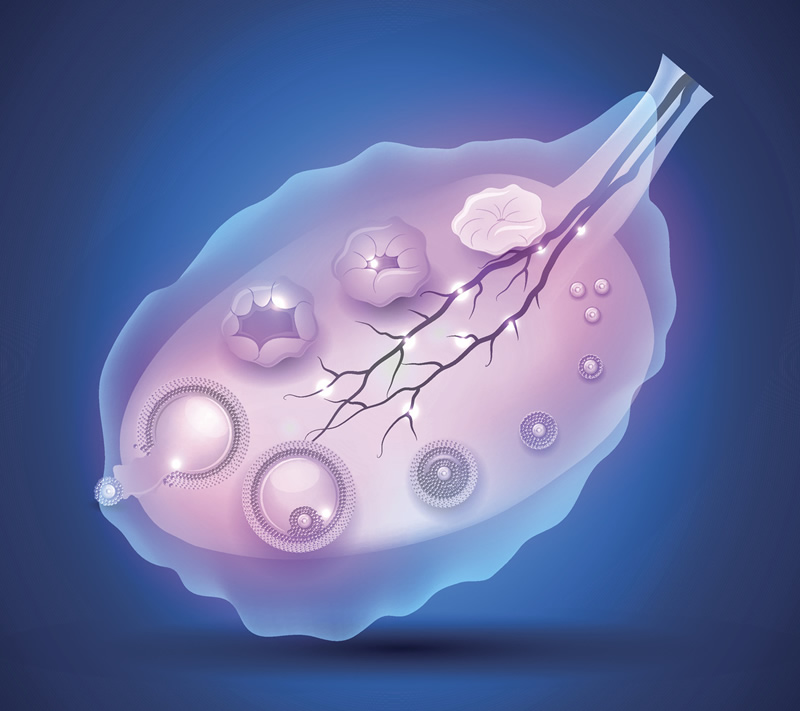 佛山试管移植成功率比较好的医院都是哪些！佛山做试管成功率比较高的医院！